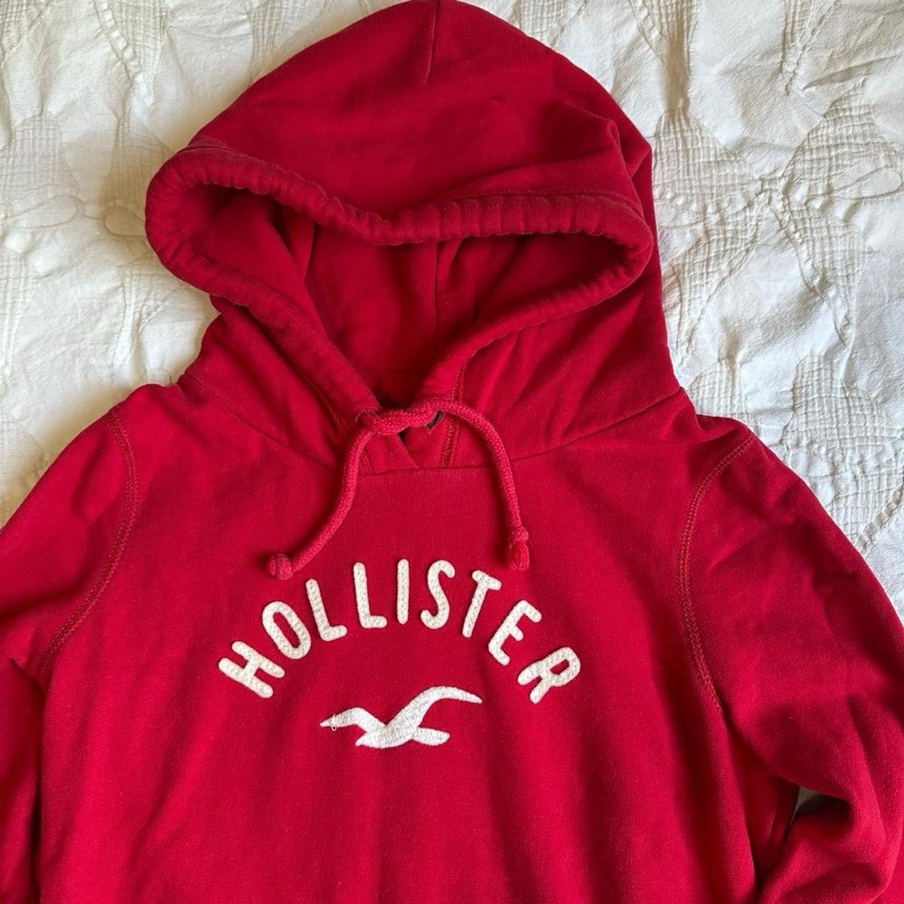 Hollister Logo Hoodie